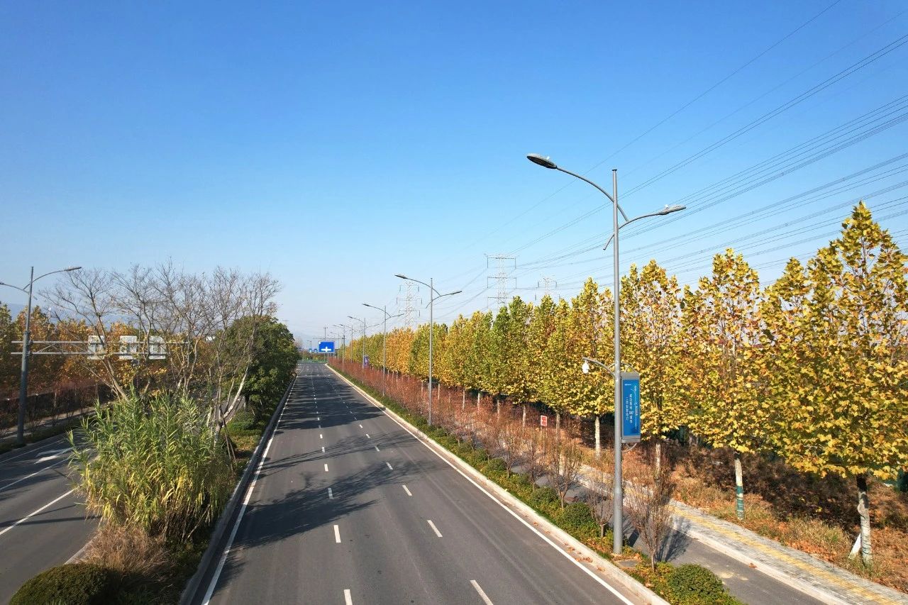 最高獎,三思,浙中公鐵聯(lián)運港,智慧路燈,工程,榮獲“市政工程最高質(zhì)量水平評價”